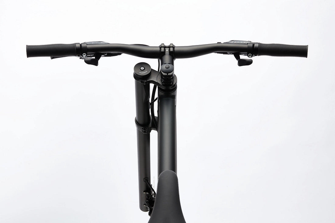 Cannondale Bad Boy 2 Urban Bike - Matte Black