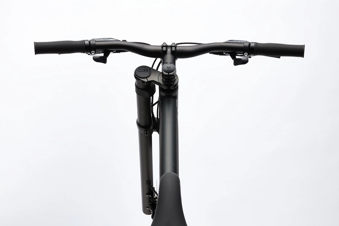 Cannondale Bad Boy 3 Urban Bike - Matte Black