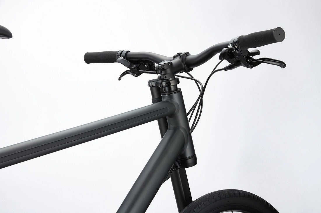 Cannondale Bad Boy 3 Urban Bike - Matte Black